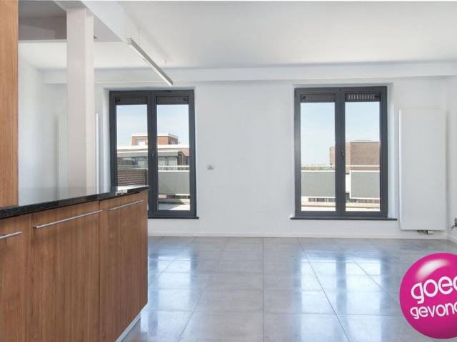 Appartement location à Looz, Limburg