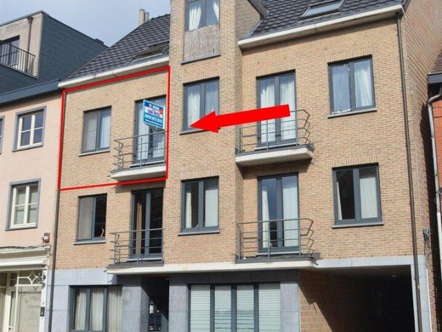 Kot location à Mol