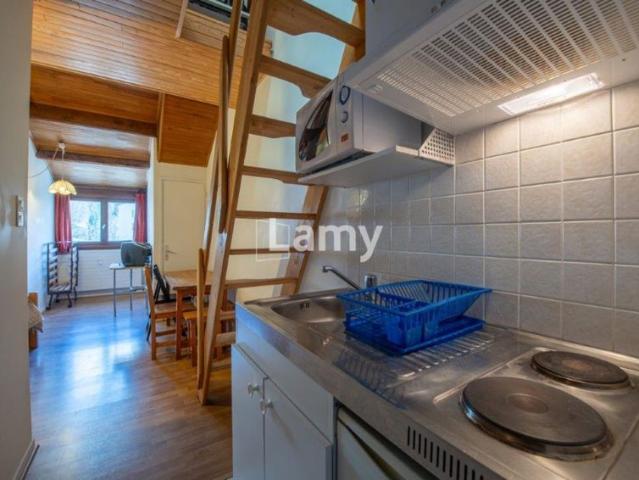 Appartement vente à Grenoble, Les Deux Alpes