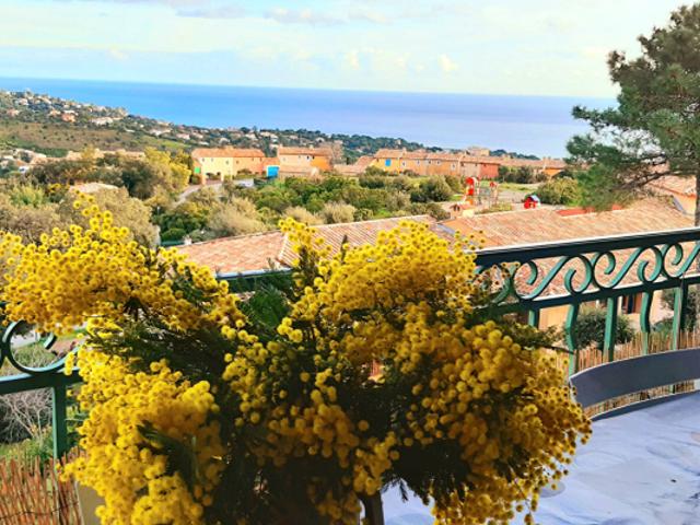 Appartement vente à Arrondissement de Draguignan, Roquebrune-sur-argens