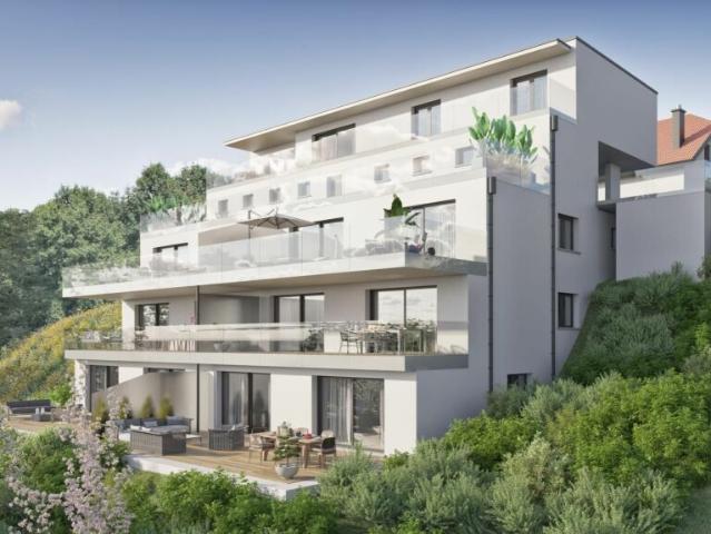 Immobilie kaufen in Gampelen, Bern