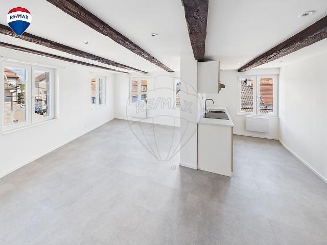 Appartement location à Quartier Perce Neige, Dannemarie