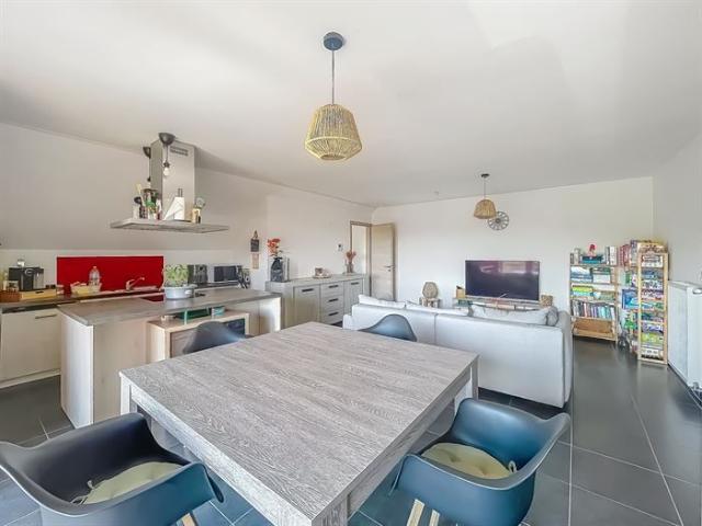 Appartement location à Binche, Wallonie