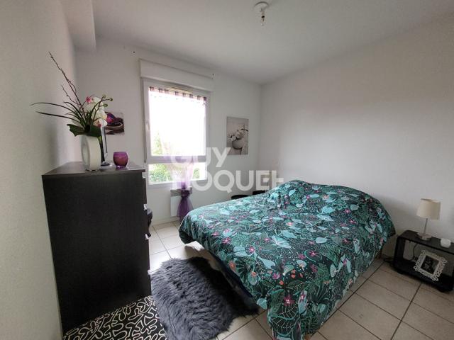 Appartement location à Albi