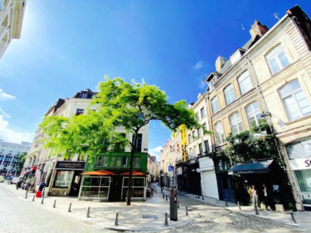 Appartement location à Lille