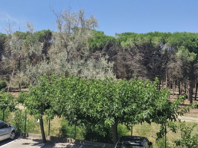 Appartement vente à Montpellier, La Grande-motte