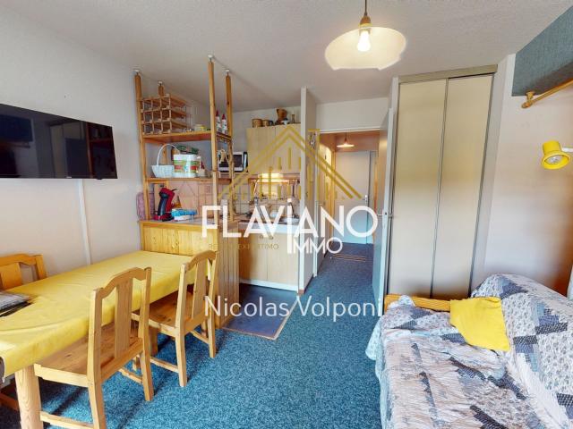 Appartement vente à Barcelonnette, Enchastrayes