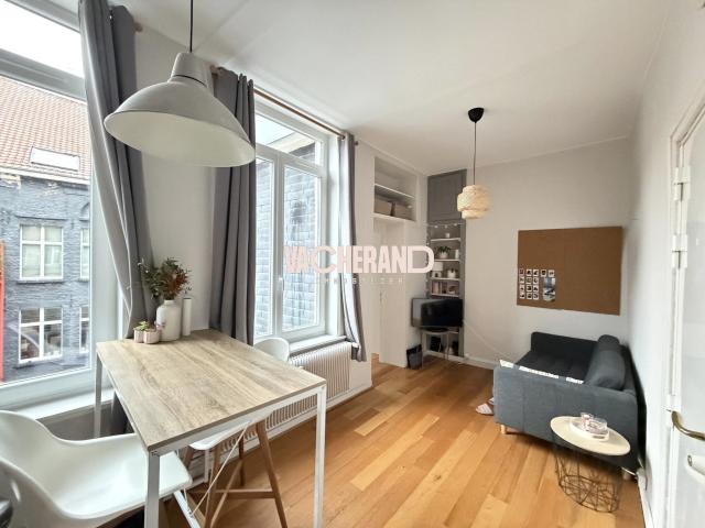 Appartement vente à Lille