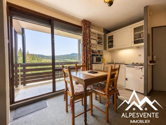Appartement vente à Hirmentaz, Bellevaux