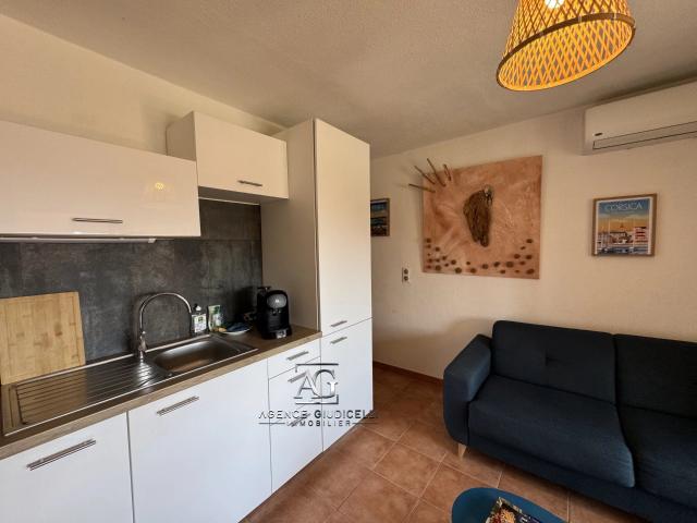 Appartement vente à Corte, Linguizzetta