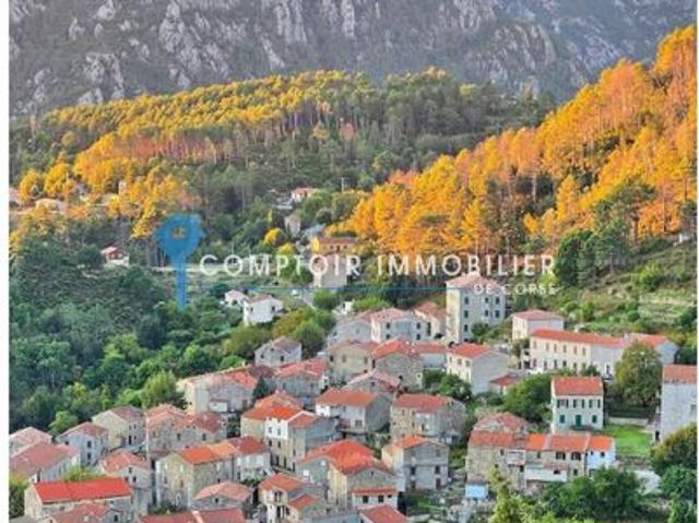 Appartement vente à Corte, Ghisoni