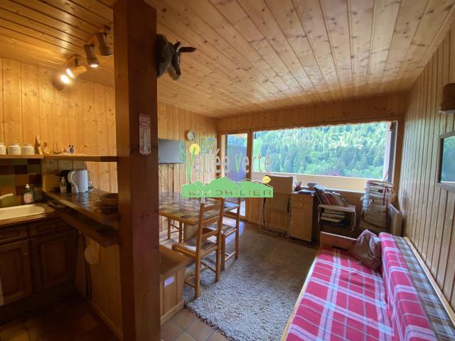 Appartement vente à La Chèvrerie, Bellevaux