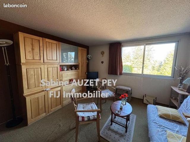 Appartement vente à Digne-les-Bains, Selonnet