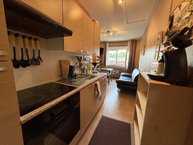 Appartement vente à Saint-Dié-des-Vosges, Gérardmer
