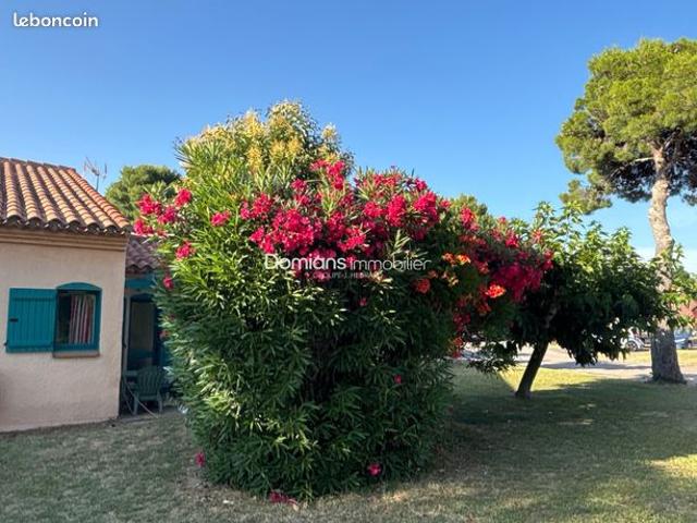 Appartement vente à Céret, Argelès-sur-mer