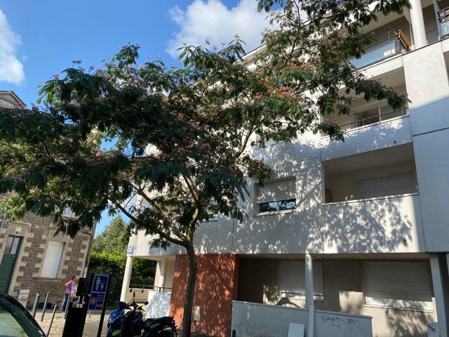 Appartement vente à Nantes