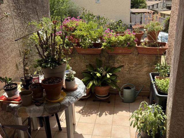 Appartement location à Calvi, Saint-florent