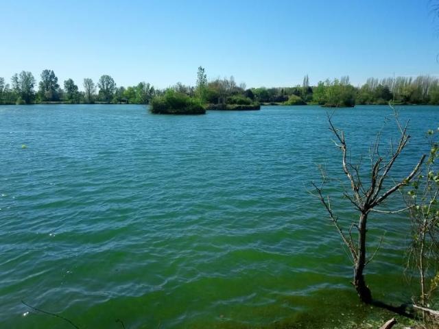 Appartement location à Toulouse, Gagnac-sur-garonne