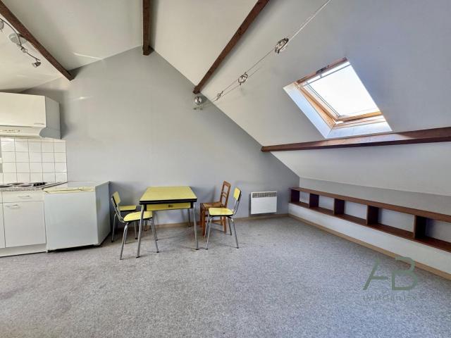 Appartement vente à Lille