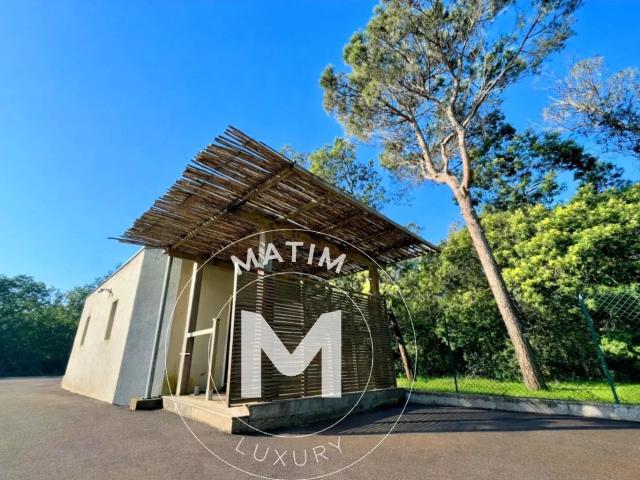 Appartement location à Corte, Sorbo-ocagnano