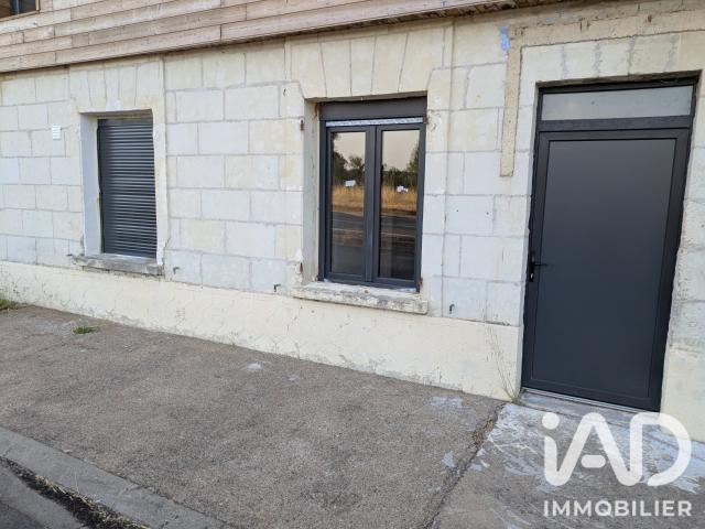 Appartement vente à Chinon, La Chapelle-sur-loire