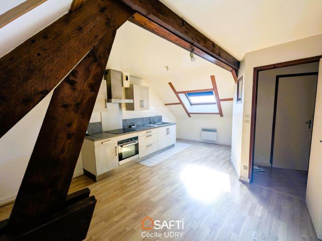 Appartement location à Romorantin-Lanthenay, Montrichard
