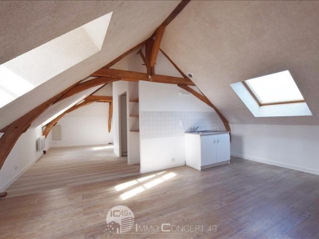 Appartement location à Angers, Brissac-quincé