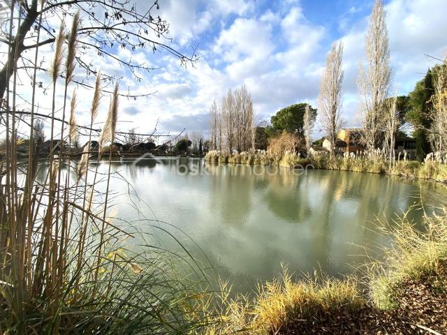 Appartement vente à Arles