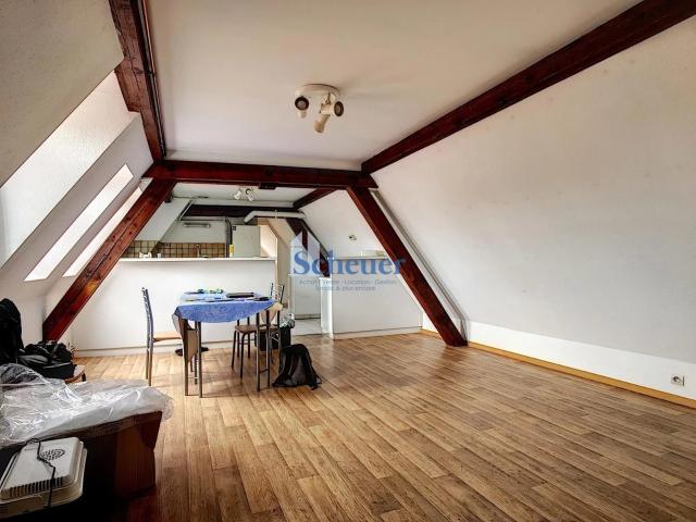Appartement location à Molsheim, Dorlisheim