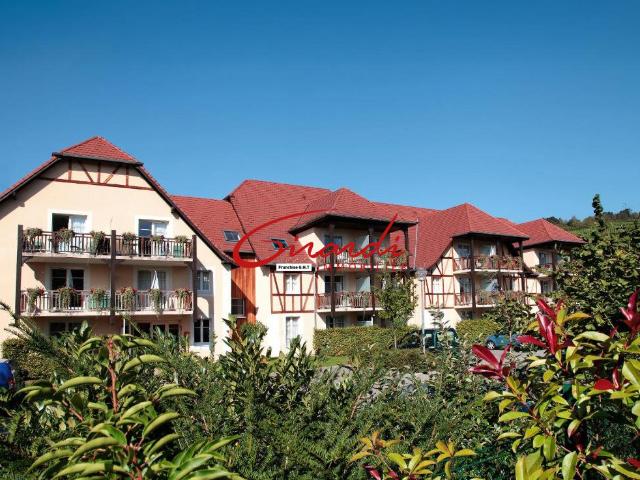Appartement vente à Colmar-Ribeauvillé, Bergheim