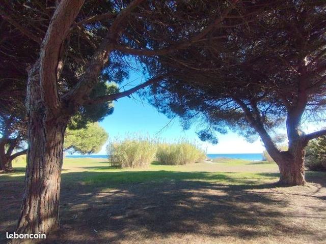 Appartement vente à Corte, Poggio-mezzana
