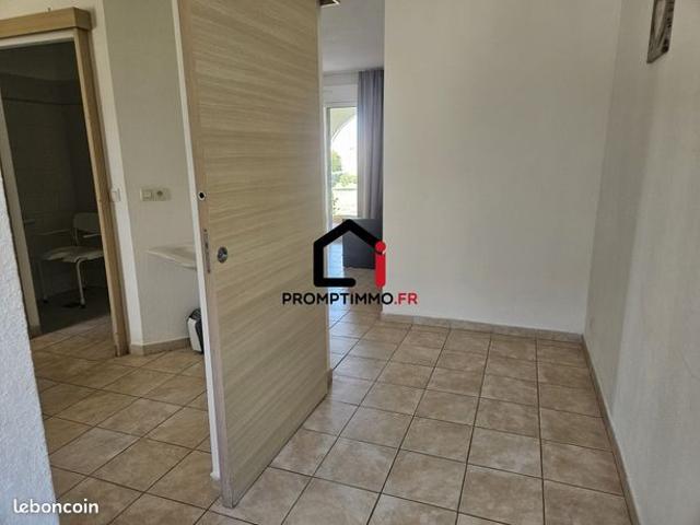 Appartement vente à Corte, Linguizzetta