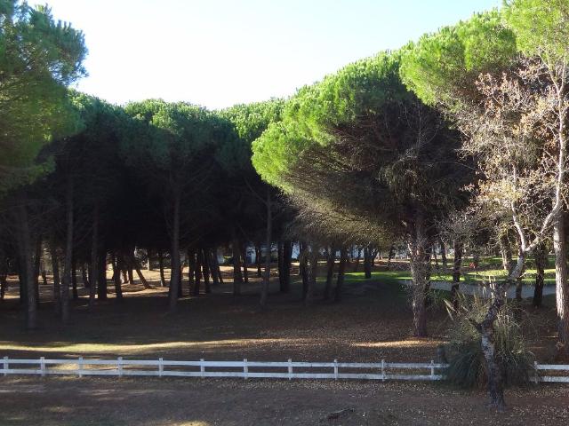 Appartement location à Montpellier, La Grande-motte