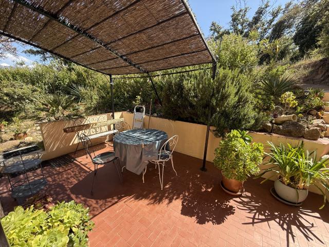 Appartement vente à Calvi