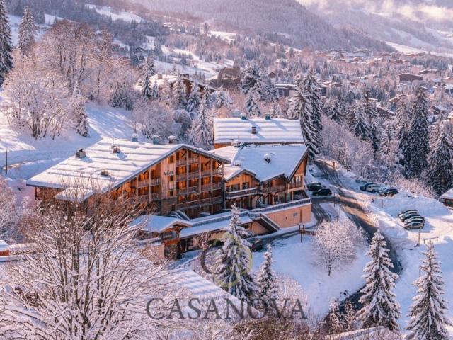 Appartement vente à Bonneville, Megève