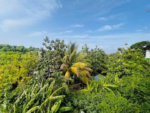 Appartement location à Guadeloupe