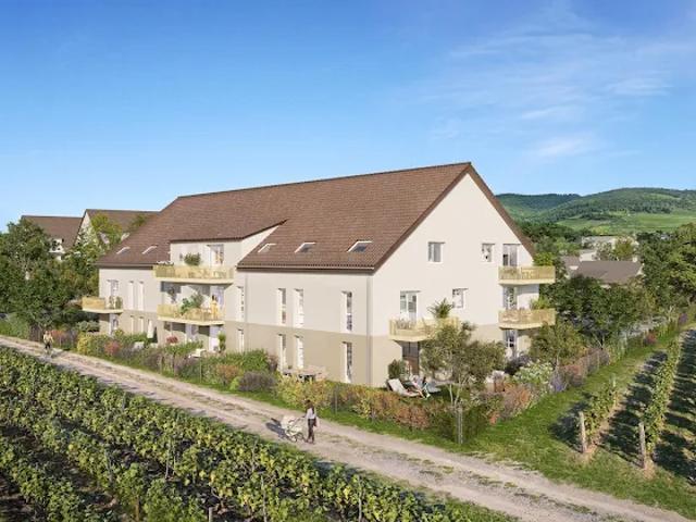 Appartement vente à Colmar-Ribeauvillé, Wintzenheim