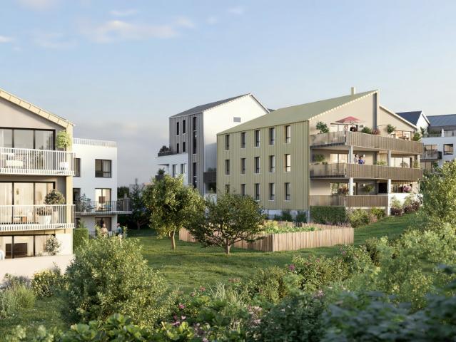Appartement vente à Nancy