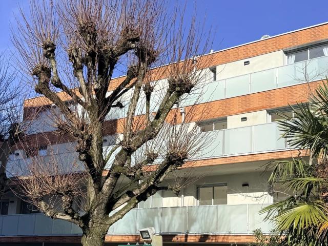 Appartement vente à Toulouse