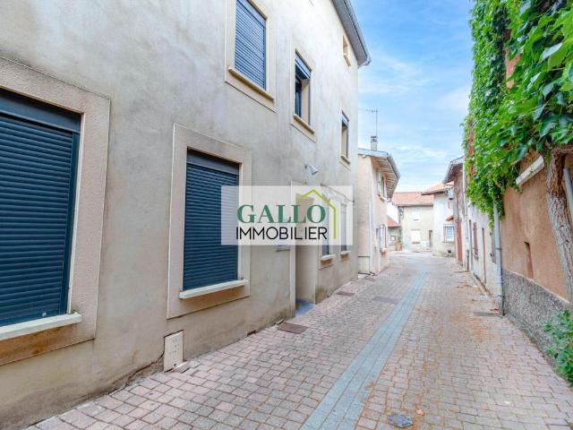 Appartement vente à Vienne, Saint-georges-d'espéranche