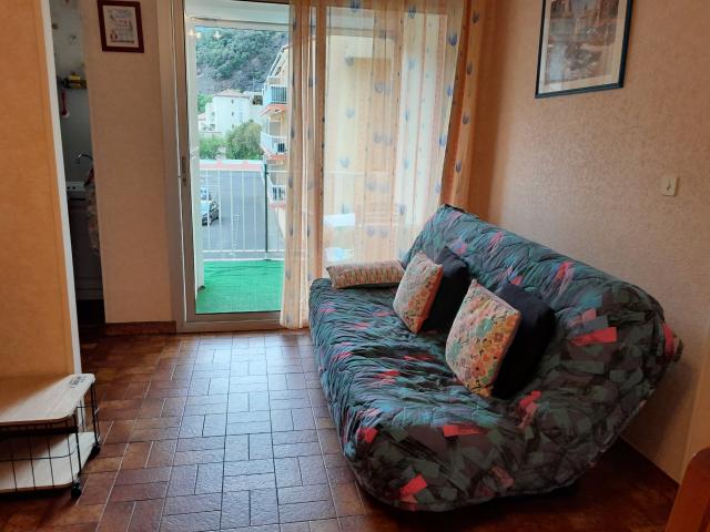 Appartement vente à Céret, Amélie-les-bains-palalda
