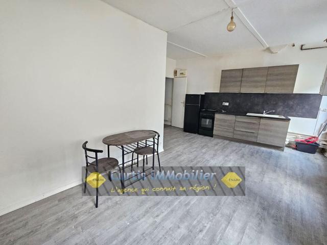 Appartement location à Saint-Étienne, Firminy