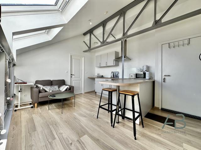 Appartement vente à Lille