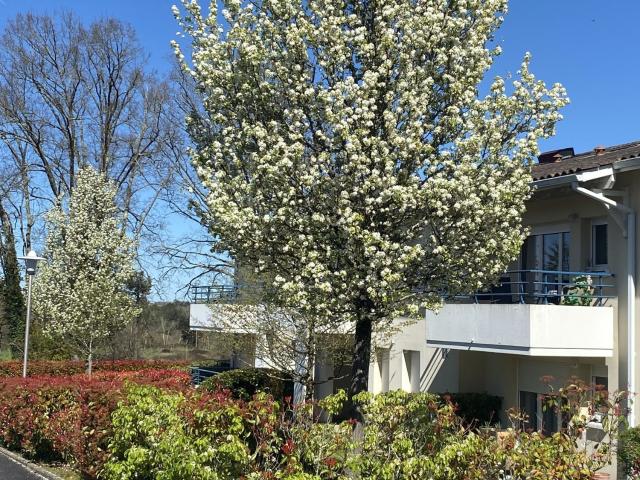 Appartement vente à Jonzac, Montendre