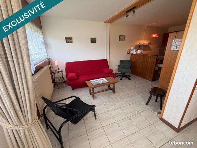 Appartement vente à Issoire, Besse-et-saint-anastaise
