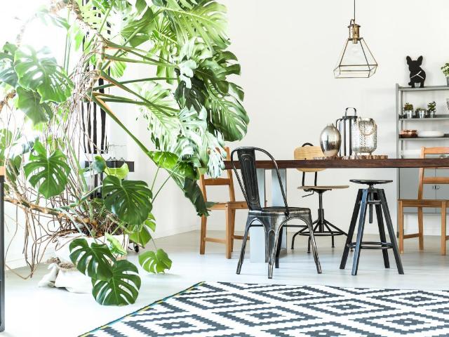 Appartement vente à France métropolitaine, Sanguinet