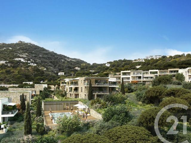 Appartement vente à Calvi