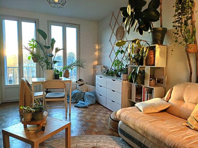 Appartement location à Limoges