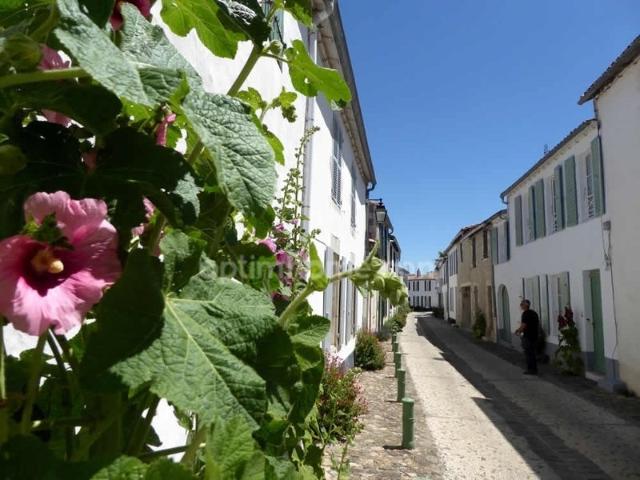 Appartement vente à La Rochelle, La Flotte