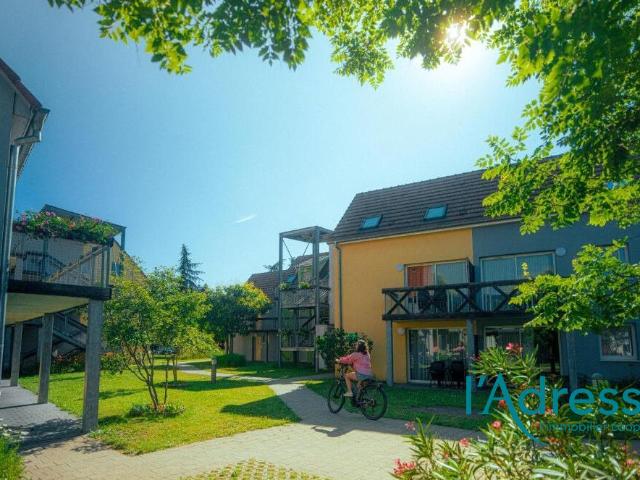 Appartement vente à Colmar-Ribeauvillé, Ingersheim